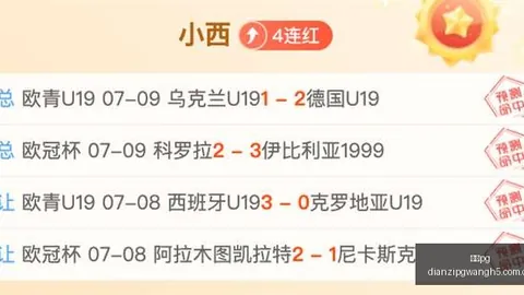 电子 ，电子娱乐游戏，100604